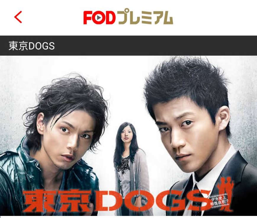 東京DOGSを１話～最終回のフル動画を無料視聴する方法